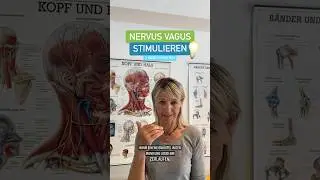 Nervus Vagus stimulieren: 3 M&ouml;glichkeiten #nervusvagus #tjmotion