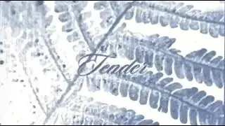 Old Cyanotype Animation