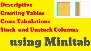 Descriptive Statistics with Minitab