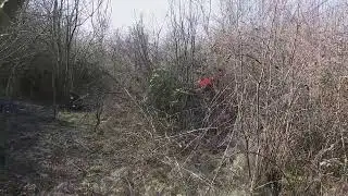 Grillo Climber 10 AWD 27 vs bushy land (2)