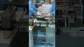 Efficient Global Shipping Cosmetics Packaging Line