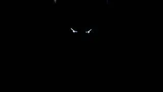 My blue leopard eyes 🖤 #viral #apachertr2v150 #bikersohag19