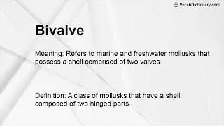 Bivalve Meaning