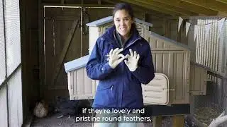 APHA Avian influenza - housing and the welfare of your birds