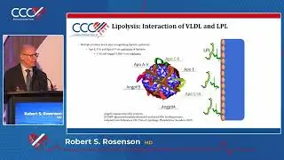 Robert S  Rosenson  Role of Triglycerides & More