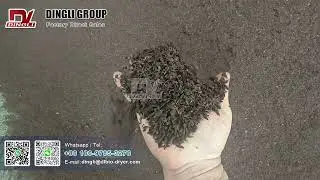 Fujian Distillery Grain Waste Drying Plant