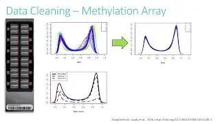 &ldquo;Differential Methylation in the context of Somatic Mutations in AML&rdquo;