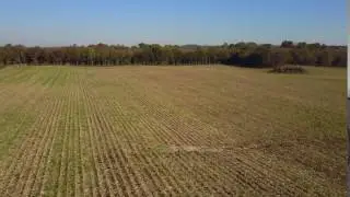 Free 4K Aerial Stock Footage of fresh cut corn farmland