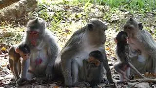 Life of Baby Live with Mother!!