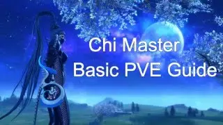 Soul Fighter Basic PVE Guide (Lv50)