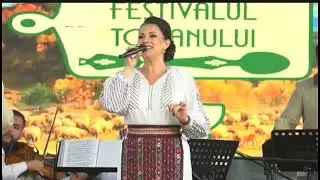 Georgiana Birsac - FESTIVALUL TOCANULUI - Novaci 🎉🎤🎼