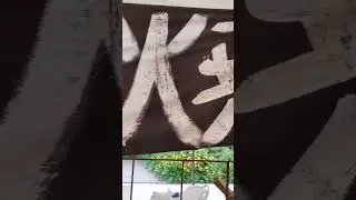 ☕🍶臺4　#Potteries　#TOBE-Yaki (#Ehime)  #Japan #Potteries #Market 2024 #Ueno#Park