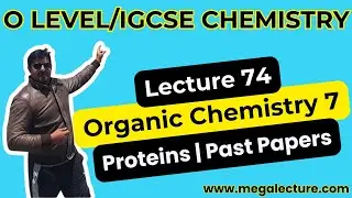 iGCSE и O Level | Класс 74 | Органическая химия 8 | Белки | Экзаменационные работы прошлых лет | ...
