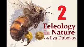 Teleology in Nature: a presentation by Ilya Dubovoy [Part 2/3]