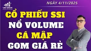 NHẬN ĐỊNH THỊ TRƯỜNG NG&Agrave;Y 4/11: VNINDEX CỔ PHIẾU SSI NỔ VOLUME, C&Aacute; MẬP BẮT ĐẦU GOM H&Agrave;NG GI&Aacute; RẺ