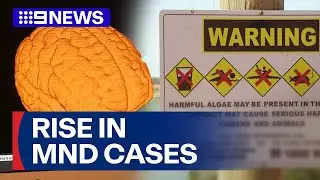 Rise in MND cases triggers concerns over suspected environmental triggers | 9 News Australia