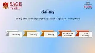 Process of Management