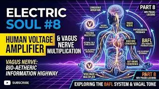 Electric Soul # 8: The Vagus Nerve & Human Voltage Multiplication/ Charge Amplification