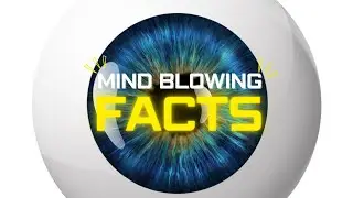 blow your mind out ya eye ball sockets...
