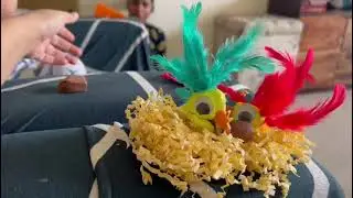 Flinto class bird nest with 3 year old