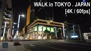 [4K/60fps] 夜の日本橋、大通りを歩く [東京.日本] [環境音ASMR]