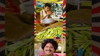 vegetable export rate is in market tell 😂😂😂🤣🤣😱😅👍