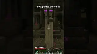 The LORE of the WHITE Enderman  #minecraftfacts #minecraftmeme  #minecraft #gaming