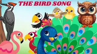 Learn Birds with Music | Bird Sounds Song for Kids