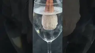 magical powder 😱🔥💯#shorts #explore #trending #viral #magic #magical #powder #pihu #mehu #op