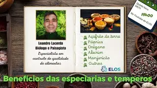 Benefícios das Especiarias e Temperos | Leandro Lacerda BIólogo e especialista em qualidade AO VIVO