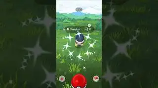 I Caught SHINY Shieldon in Pok&eacute;mon GO! ✨