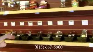 The Chocolate Shoppe