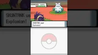 SKUNTANK used Explosion!