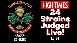 High Times Cannabis Cup 2022 Live Judging - Ep. #4