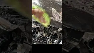 Honda unicorn | Teflon coating | Deep cleaning | bike wash #shorts #detailing