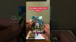We went Zebra hunting and found one!! #rippingwax #sportscards #panini #selectfootball