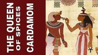 All About Cardamom, the Ancient Queen of Spices (Elaichi).