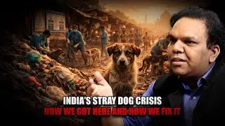 India&rsquo;s Stray Dog Crisis: How We Got Here And How We Fix It
