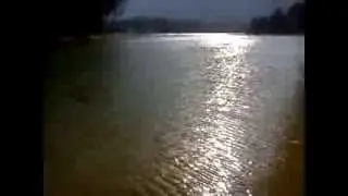 Sunlight reflected on water surface at MacRitchie Reservoir