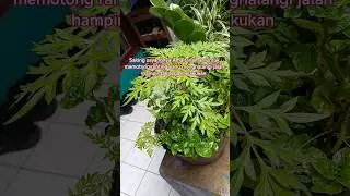 orang yang tidak menerima kebenaran akan merugi kelak di akhirat