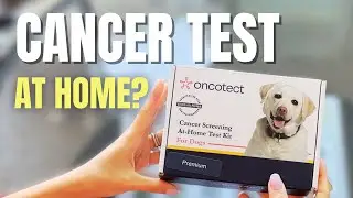 At Home Test Can Detect Cancer in Dogs | Vet Explains