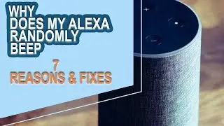 Почему моя Alexa издает случайные звуки? 7 причин и как это исправить?