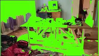 Professional Mode the camera is stationary 16 2