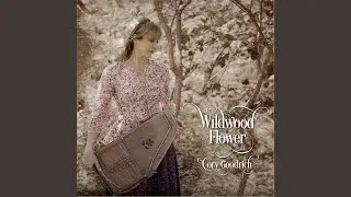 I Wanna Be a Real Cowboy Girl