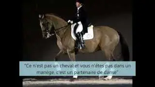 Citations équestres