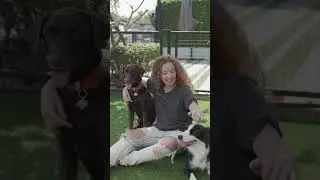 🎶 