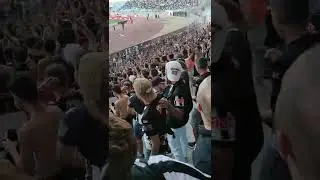 Fel virage netnafes ultras