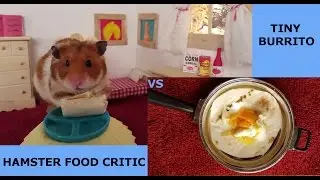 HAMSTER EATING BURRITO - Cute Hamster Tries New Food