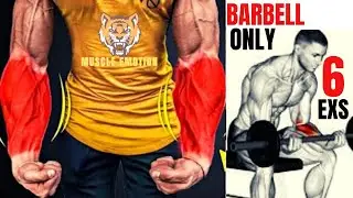 6 BEST Exercises for Bigger Forearms Workout