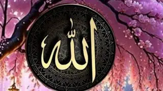 AR Siddiqui  is live! Good evening ❤️ everyone 🥀 please support me 🌹🥀